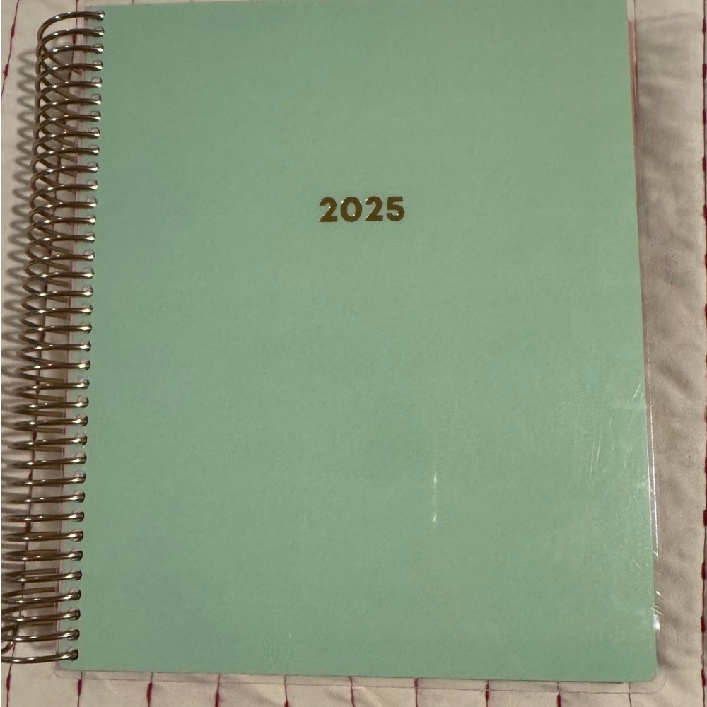 Livewell Mint Green 2025 Planner with Gold Accents